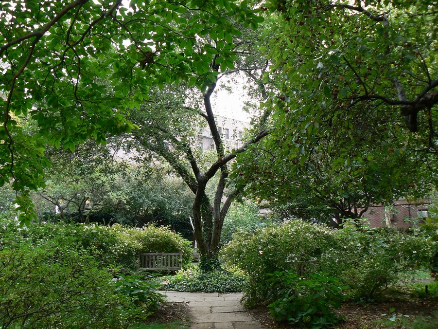 2007_Garden Of The Church Of St Luke 044.jpg